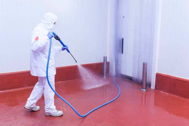 Best Rust Removal  in Merchantville, NJ